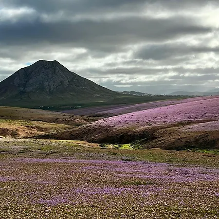 Atlantic 3 Apartment, Terrace, Solarium And شقة