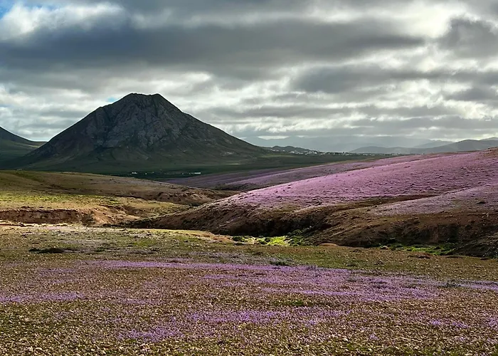 Atlantic 3 Apartment, Terrace, Solarium And Appartement